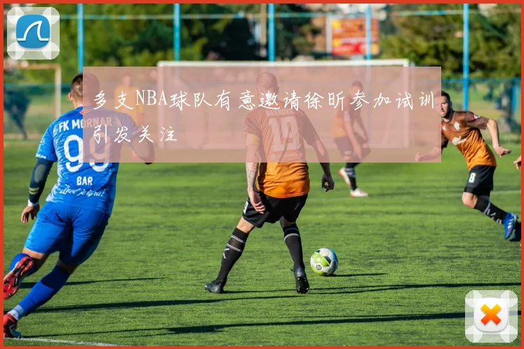 多支NBA球队有意邀请徐昕参加试训引发关注